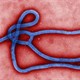 Nga cảnh báo nguy cơ Ebola thành vũ khí sinh học