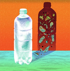 Uống nước để lâu có hại cho sức khỏe hay không?