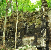 Phát hiện thành phố cổ đại của người Maya trong rừng