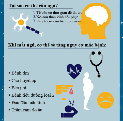 20% người trưởng thành ngủ ít hơn 6 giờ mỗi ngày