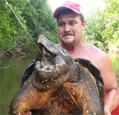 Bắt được “thủy quái” rùa cá sấu khủng cực quý hiếm