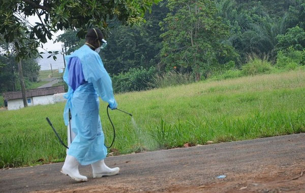 Chùm ảnh minh chứng sự khó khăn trong việc kiểm soát virus Ebola
