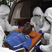 Thử nghiệm thành công thuốc điều trị Ebola trên khỉ đuôi ngắn