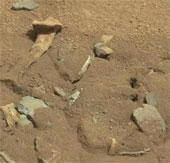 NASA lý giải về hình ảnh giống xương người trên sao Hỏa