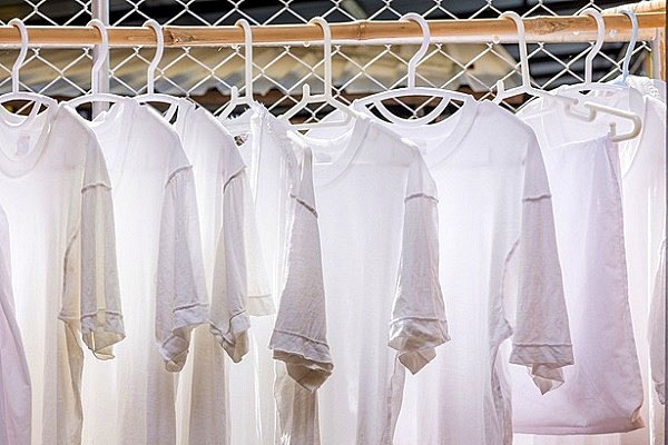 Tìm sự tồn tại của mùi hương 