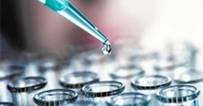 Chính thức thử nghiệm vaccine Ebola trên cơ thể người