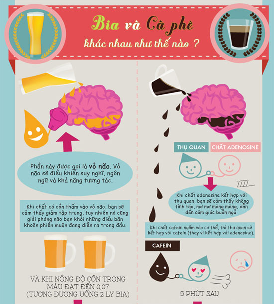 Bia và cafe khác nhau như thế nào?
