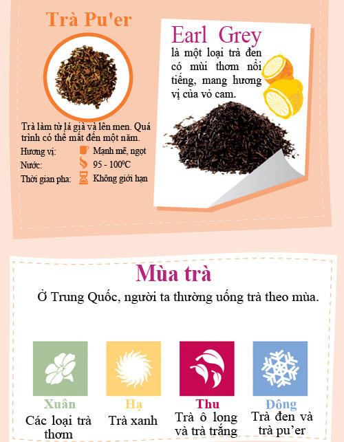 Sự thật thú vị về trà