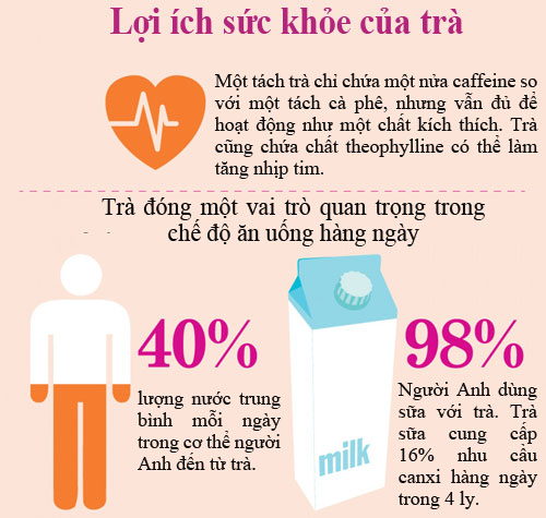 Sự thật thú vị về trà