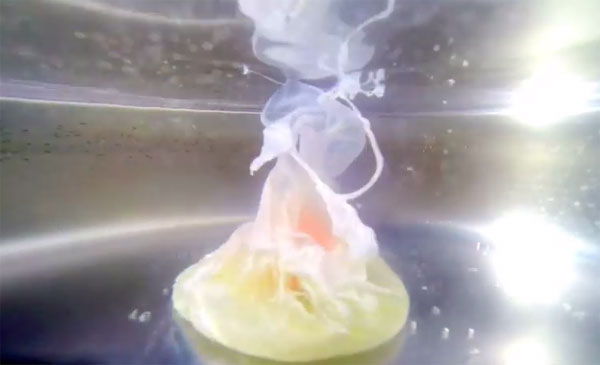 Video: Thả camera vào nước nóng để quay trứng luộc