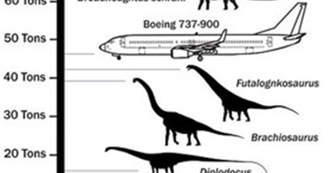 Phát hiện loài khủng long dài 26m, nặng 65 tấn