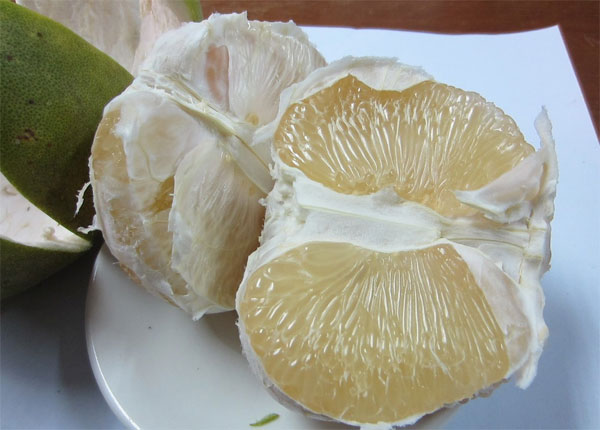 Các loại thực phẩm và thuốc không thể dùng chung