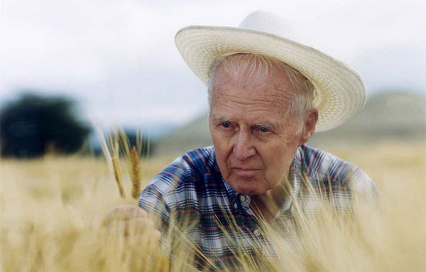 5 năm ngày mất của Norman Borlaug - Cha đẻ của cuộc “cách mạng xanh”