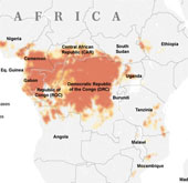 Ebola có nguy cơ bùng phát tại 15 quốc gia tại châu Phi