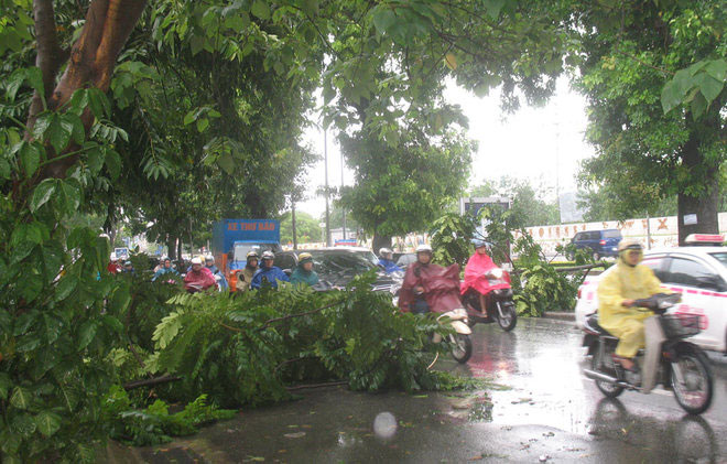Hải Phòng ngập nặng, Lạng Sơn chuẩn bị chạy lũ