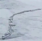"Sâu quái vật" bí ẩn xuất hiện trên dòng sông băng