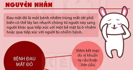 Tổng hợp tin tức hot trong tuần 04/09