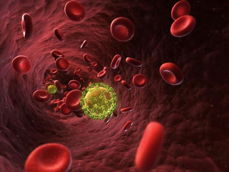 Người duy nhất thoát khỏi virus tử thần HIV là do đâu?