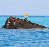 Chiêm ngưỡng nghĩa địa tàu đắm ở tam giác quỷ Bermuda