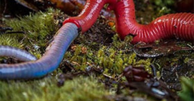 Tổng hợp tin tức hay tuần 01/10