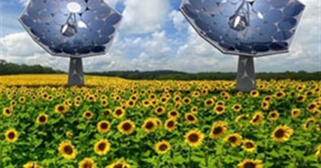 Sunflower - Hệ thống cung cấp điện và nước sạch