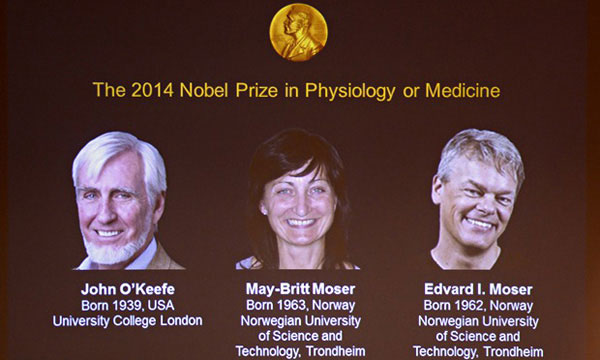 Hệ thống định vị trong não người giành giải Nobel Y học 2014