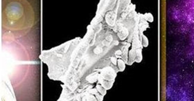 Phát hiện sinh vật ngoài trái đất?