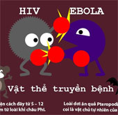 So sánh mức độ nguy hiểm giữa virus HIV và Ebola