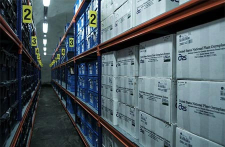 Hầm chống tận thế được bổ sung thêm số lượng lớn hạt giống