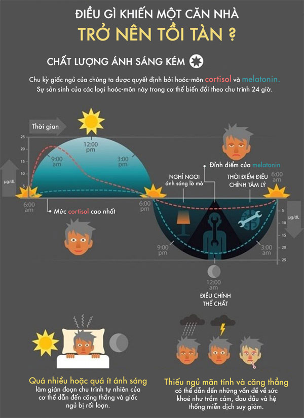 Khía cạnh tâm lý học để một gia đình hạnh phúc hơn