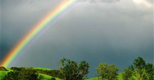 Mùi dễ chịu sau cơn mưa từ đâu mà có?