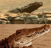 Cá sấu đã di cư lên sống trên sao Hỏa?