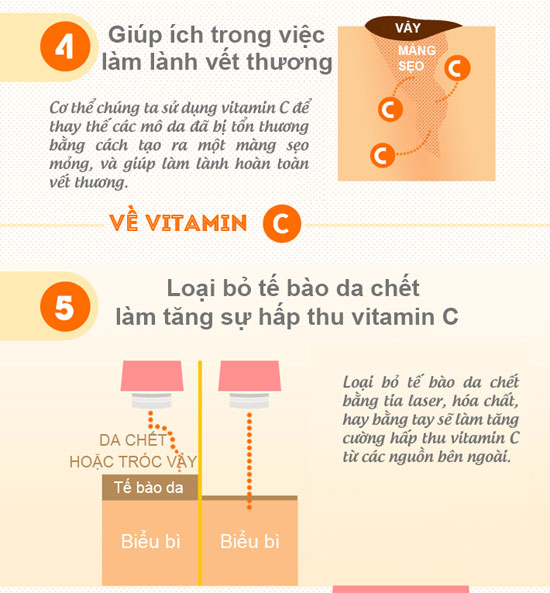 Cùng tìm hiểu về tác dụng của vitamin C