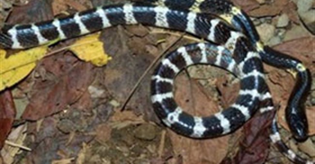 Tổng hợp tin tức hay tuần 04/10