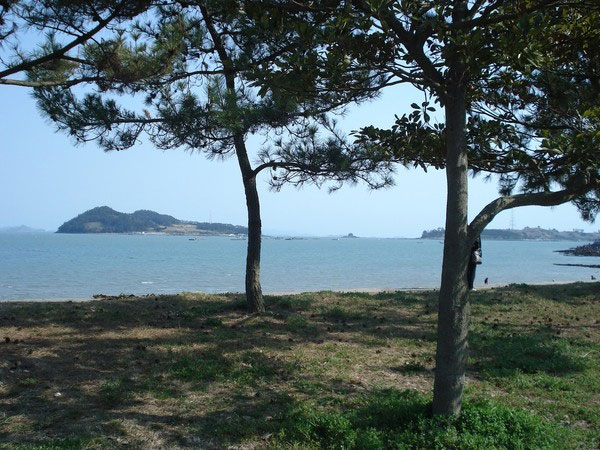Giải mã bí ẩn 