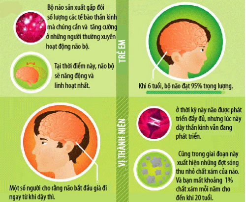 Bộ não bạn già đi như thế nào?