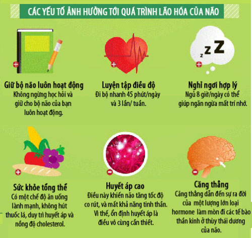 Bộ não bạn già đi như thế nào?