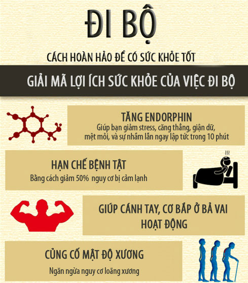 Lợi ích nhiều mặt của đi bộ