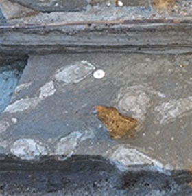 Phát hiện dấu chân từ thời kỳ đồ đá 5000 năm trước
