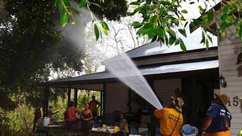 Nắng nóng khiến 5.000 con dơi chết 