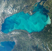 Nước hồ biến thành "thạch" vì ô nhiễm