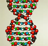 Video: ADN là gì?