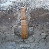 Chiếc rìu thời kỳ đồ đá có tay cầm bằng gỗ
