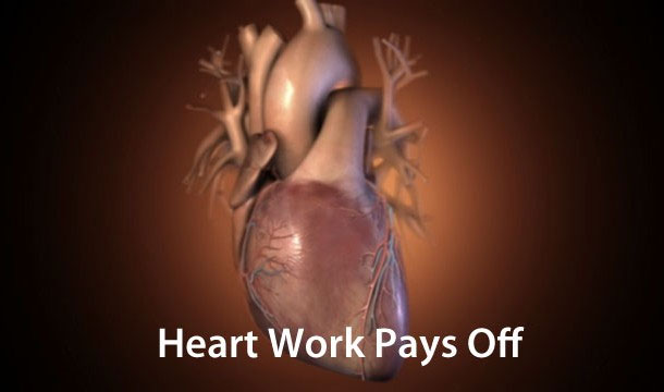 Những sự thật thú vị về trái tim của bạn