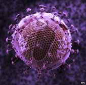 Virus HIV không còn nguy hiểm như trước đây 