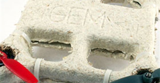 Máy bay do thám từ vật liệu sinh học tự hủy độc đáo