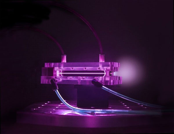 Máy gia tốc hạt để bàn của Berkeley Lab lập kỷ lục mới