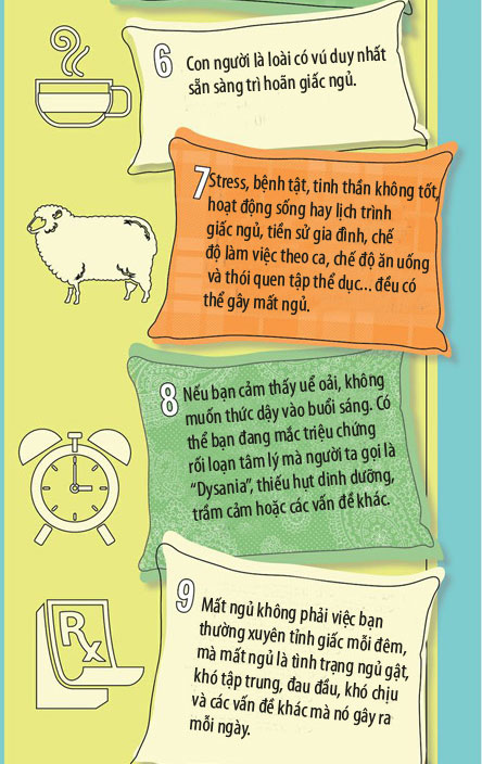 Những sự thật kỳ lạ và hấp dẫn về giấc ngủ