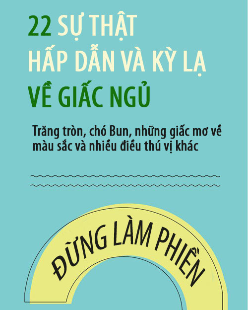 Những sự thật kỳ lạ và hấp dẫn về giấc ngủ