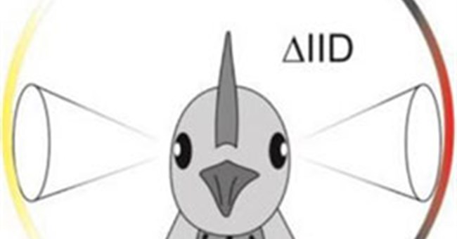 Lý do chim nghe tốt dù không có tai bên ngoài